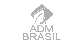 Avada Lifestyle Demo